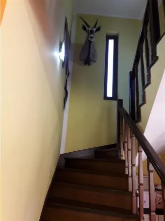 Casă 4 camere Gageni - poza 12