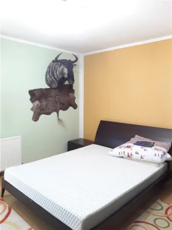 Casă 4 camere Gageni - poza 13