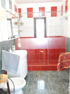 Royal Imobiliare - Vanzari Vile - foto 23