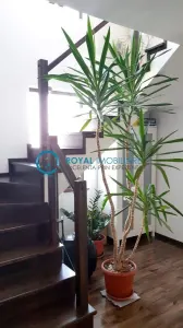 Royal Imobiliare - Vanzare Vila zona Targsoru Vechi - foto 12
