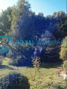 Royal Imobiliare-Inchiriere Vila Zona Paulesti - foto 3