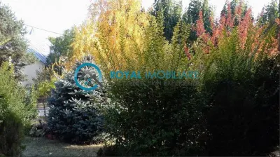 Royal Imobiliare-Inchiriere Vila Zona Paulesti - foto 6
