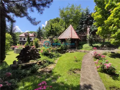 Royal Imobiliare -vanzare vila/ casa de vacanta zona CAMPINA - Campina