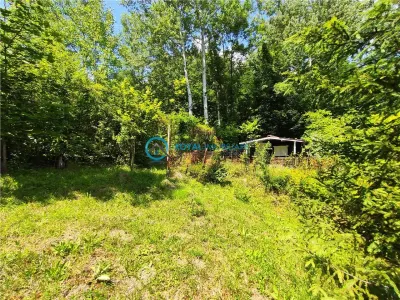 Royal Imobiliare -vanzare vila/ casa de vacanta zona CAMPINA - foto 24