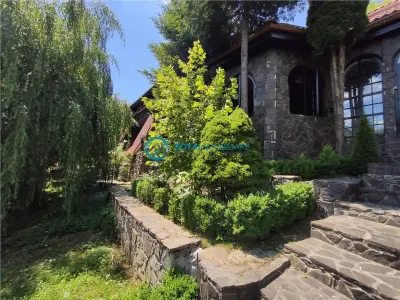 Royal Imobiliare -vanzare vila/ casa de vacanta zona CAMPINA - foto 5