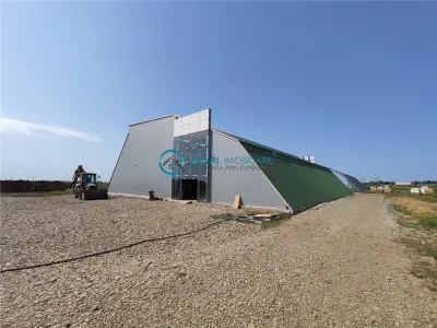 Royal Imobiliare - Vanzari Spatii industriale/ Hale - Ploiesti