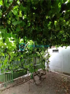 Royal Imobiliare - Vanzare Casa Zona Cantacuzino - foto 4