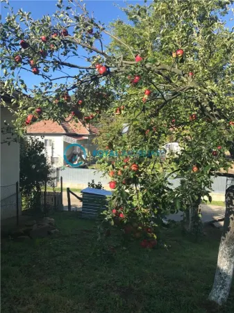 Casă 2 camere Teisani - poza 5