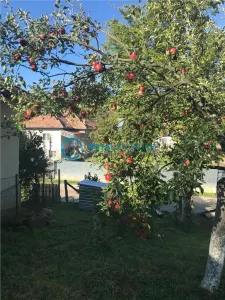 Royal Imobiliare- Vanzare Casa de Vacanta Teisani - foto 5