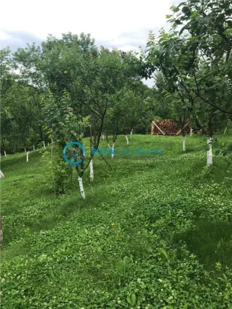 Casă 2 camere Teisani - poza 7
