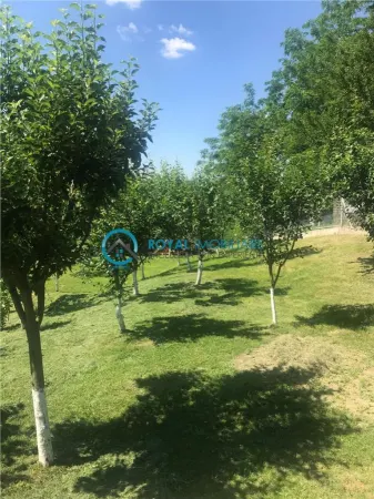 Casă 2 camere Teisani - poza 8