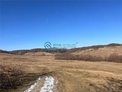 Royal Imobiliare- Vanzare Casa de Vacanta Teisani - foto 9