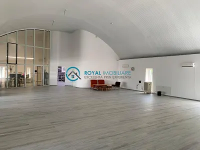 Royal Imobiliare - Inchiriere spatiu industrial zona Bucov - foto 2