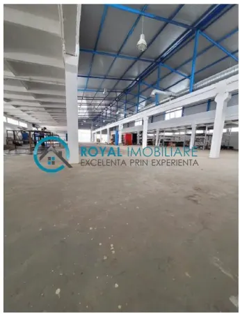 Spațiu industrial Negoiesti - poza 2