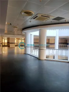 Royal Imobiliare - Cladire birouri P+6E, zona Ultracentrala - foto 7