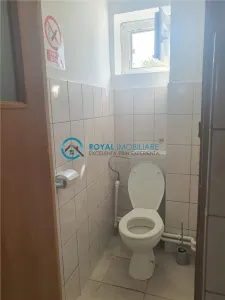 Royal Imobiliare- inchirieri spatii industriale Bucov - foto 10