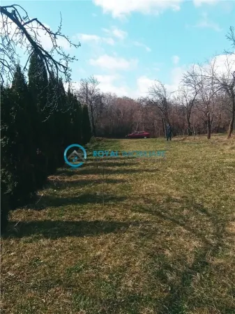 Casă 3 camere Teisani - poza 3