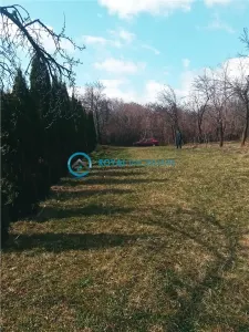Casă 3 camere Teisani - poza 3