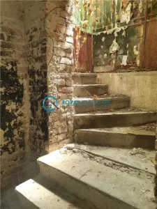 Royal Imobiliare-Vanzare Casa Boiereasca-zona Gheorghe Doja - foto 22