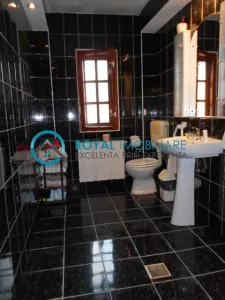 Royal Imobiliare - Inchiriere Vila zona Gheorghe Doja - foto 15