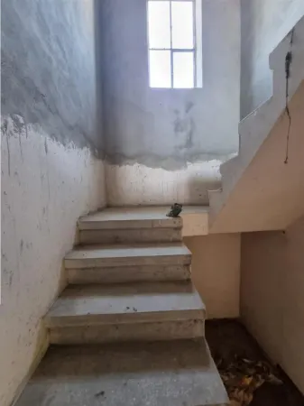 Casă 5 camere Blejoi - poza 12
