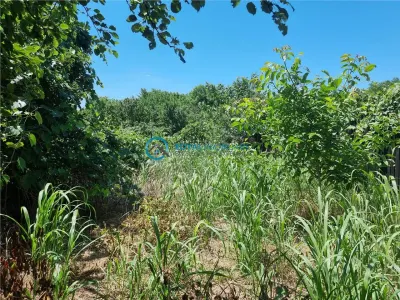 Royal Imobiliare - Vanzare Vila zona Blejoi - foto 3