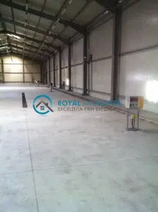 Royal Imobiliare- Vanzare Spatiu Industrial Zona Exterior Vest - foto 10
