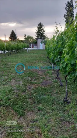Casă 3 camere Urlati - poza 5