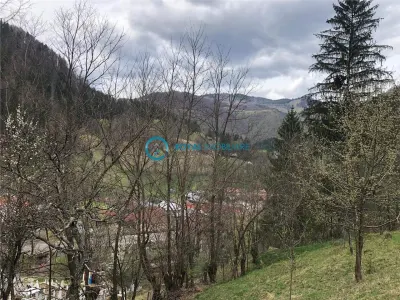 Royal Imobiliare-Vanzare Teren Zona Voineasa - foto 8