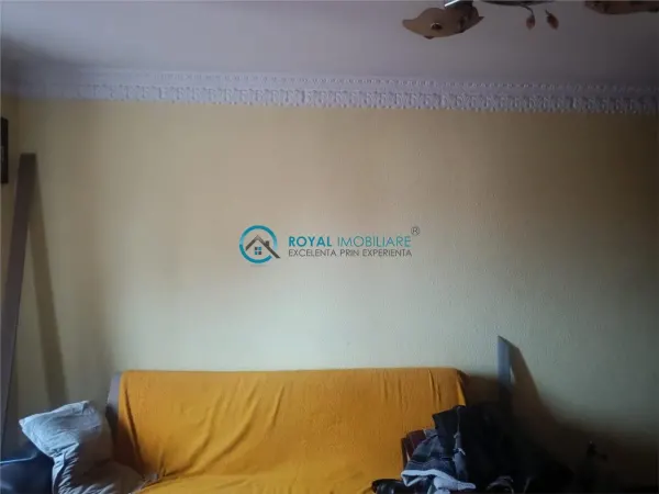 Casă 1 camera Balta Doamnei - poza 3