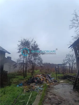 Casă 1 camera Balta Doamnei - poza 10