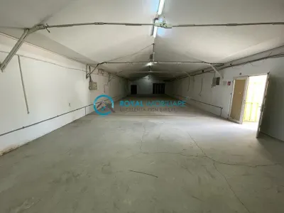 Royal Imobiliare-Inchiriere Spatiu Industrial-zona Xenia - foto 2