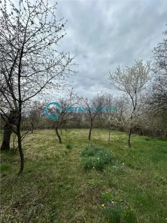 Casă 6 camere Filipestii de Padure - poza 18