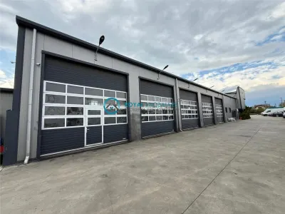 Royal Imobiliare - Vanzare spatiu industrial zona Tantareni - Tantareni