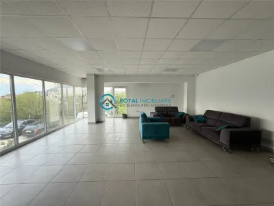 Royal Imobiliare - Vanzare spatiu industrial zona Tantareni - foto 9