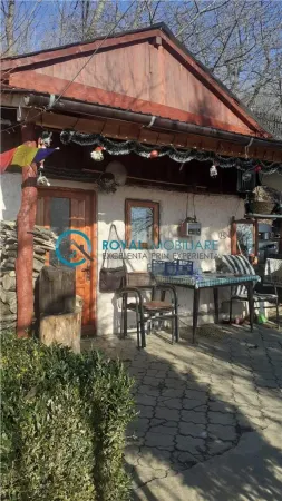 Casă 3 camere Pacureti - poza 2