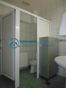 Royal Imobiliare - Inchiriere Vila Zona Cantacuzino - foto 24