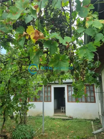 Casă 3 camere Valea Calugareasca - poza 4