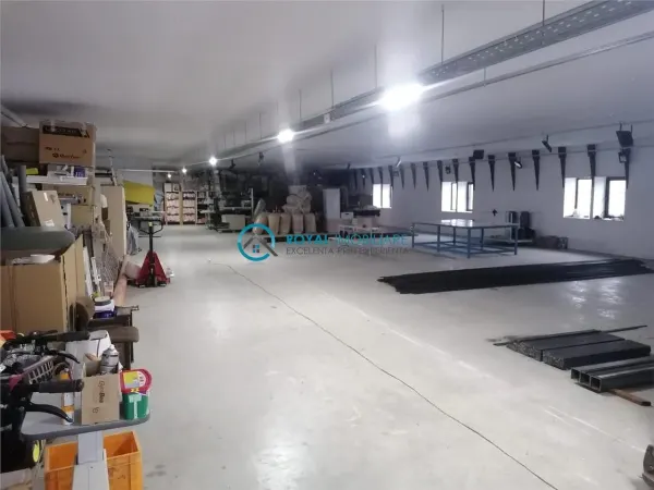 Spațiu industrial Albesti-Paleologu - poza 5
