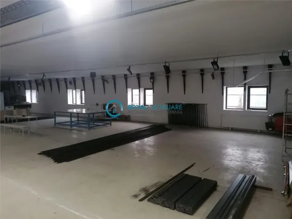 Spațiu industrial Albesti-Paleologu - poza 6