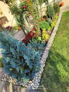 Royal Imobiliare - Vanzare Vila zona Dorobantul - foto 4