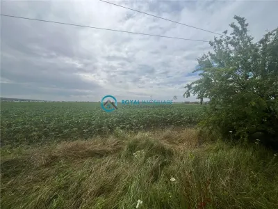 Royal Imobiliare-Vanzare Teren Intravilan Zona Bucov - foto 3