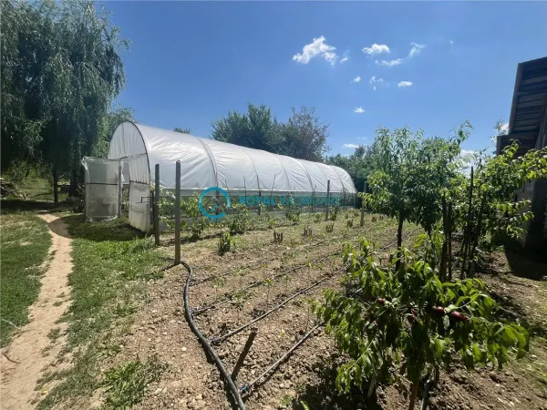 Casă 5 camere Romanesti - poza 24