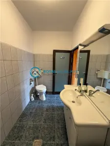 Royal Imobiliare - Inchiriere casa zona Ultracentral - foto 15