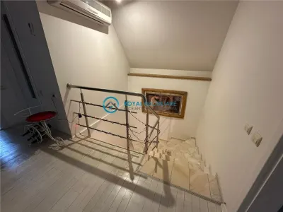 Royal Imobiliare - Inchirieri Vile Paulesti - foto 20