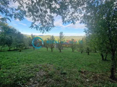 Royal Imobiliare - Vanzare teren zona Breaza - foto 6
