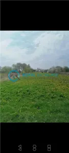 Royal Imobiliare - Vanzare casa zona Romanesti - foto 4