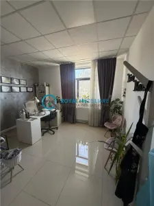 Royal Imobiliare - Inchiriere spatiu birouri zona Bulevardul Independentei - foto 4