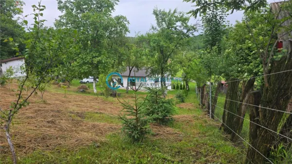 Casă 3 camere Stefesti - poza 20