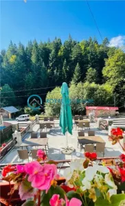 Royal Imobiliare - Vanzare pensiune zona Busteni - foto 6